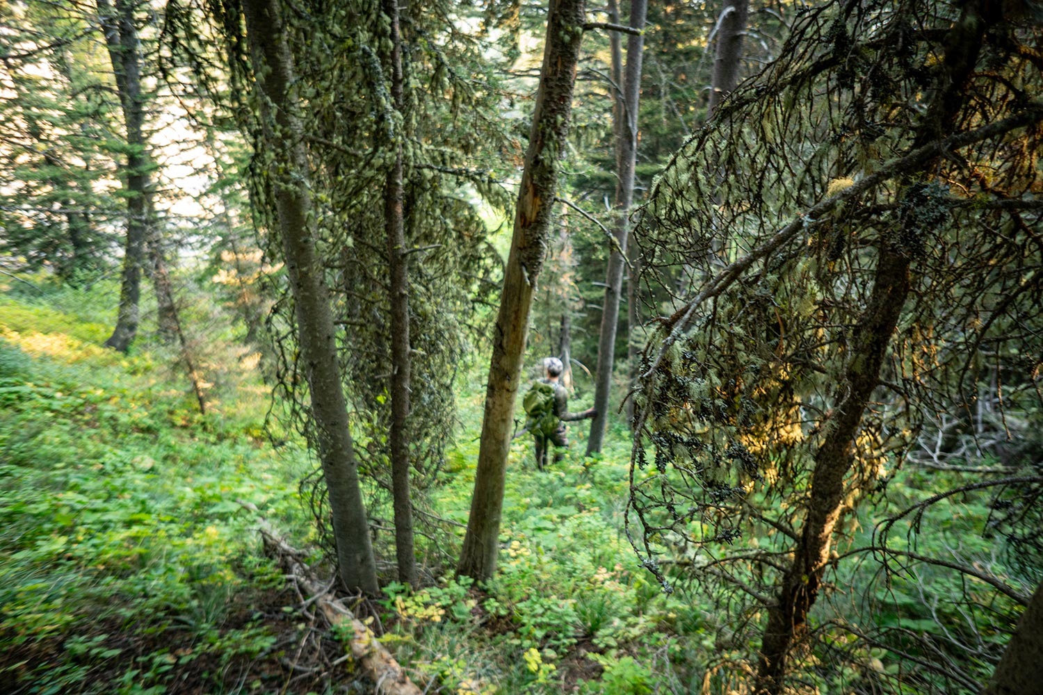 Can You Use the RoadRunner Rifle Rest During Archery Season?