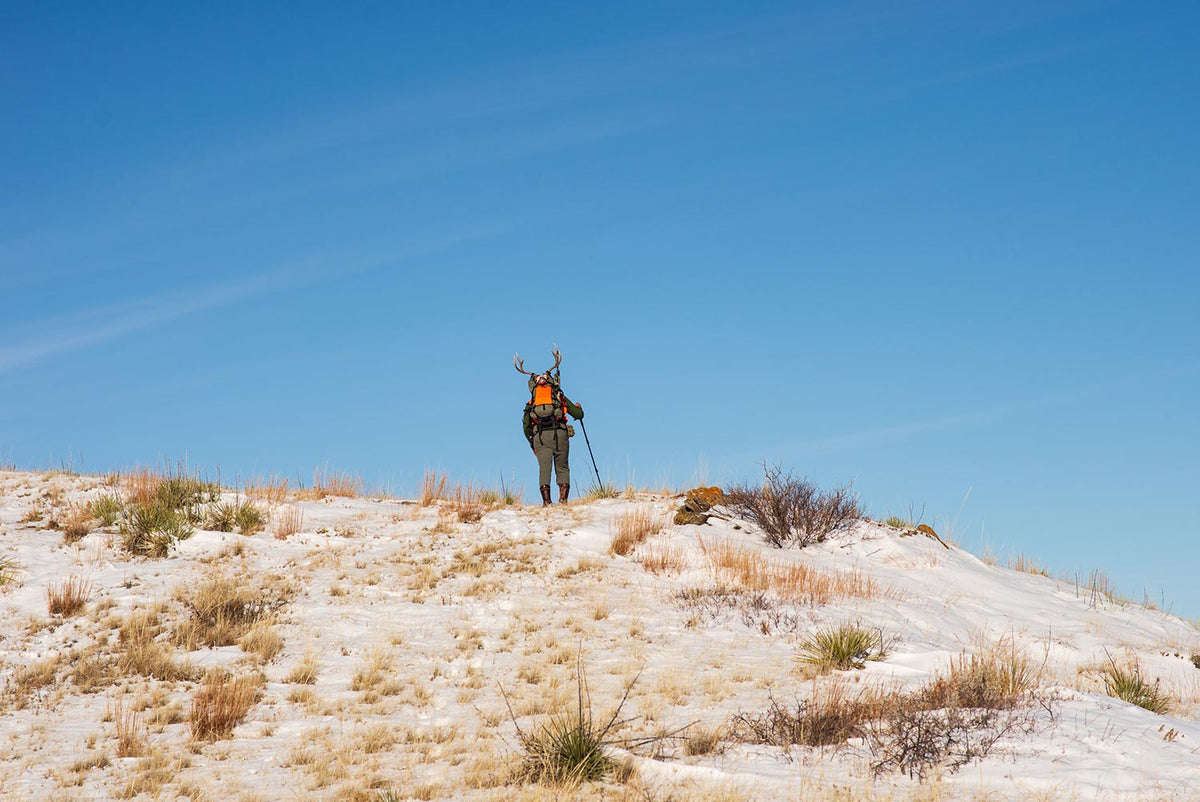 Which RoadRunner Trekking Pole Is Right for You?