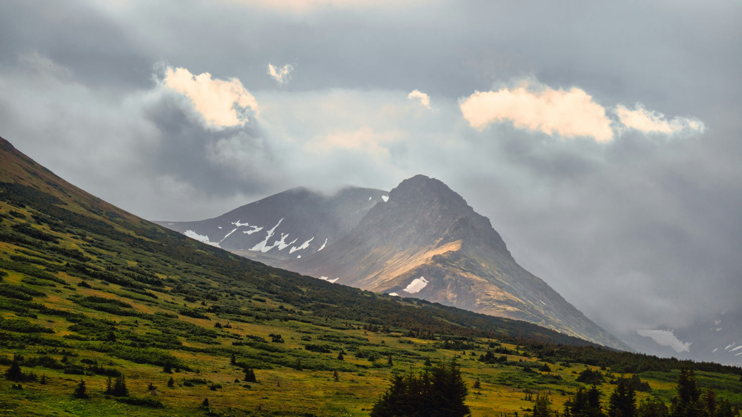 A sweeping hillside in Alaska with green shrubs and trees, and a mountain in the background under a cloudy sky.